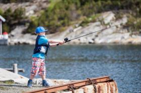 Klicken Sie auf das Bild f�r volle Gr��e