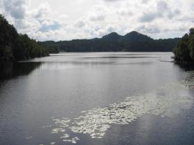 Klicken Sie auf das Bild f�r volle Gr��e