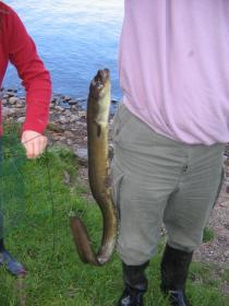 Klicken Sie auf das Bild f�r volle Gr��e