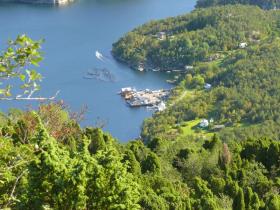 Klicken Sie auf das Bild f�r volle Gr��e