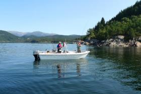 Klicken Sie auf das Bild f�r volle Gr��e