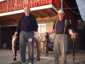 Klicken Sie auf das Bild f�r volle Gr��e