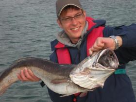 Klicken Sie auf das Bild f�r volle Gr��e