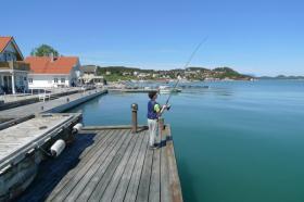 Klicken Sie auf das Bild f�r volle Gr��e