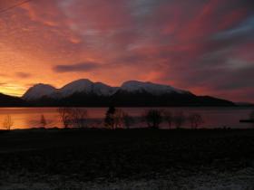 Klicken Sie auf das Bild f�r volle Gr��e