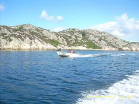 Klicken Sie auf das Bild f�r volle Gr��e