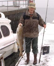 Klicken Sie auf das Bild f�r volle Gr��e