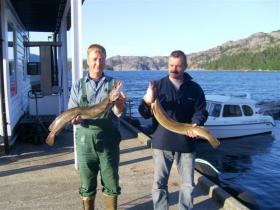 Klicken Sie auf das Bild f�r volle Gr��e