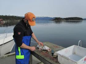 Klicken Sie auf das Bild f�r volle Gr��e