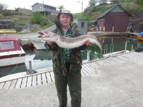 KlickenKlicken Sie auf das Bild f�r volle Gr��e