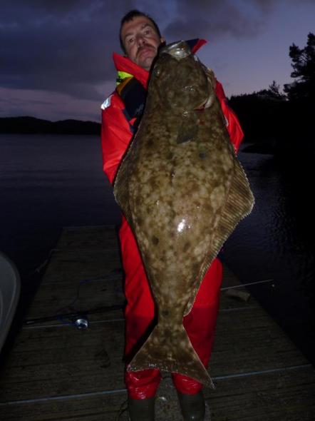 Klicken Sie auf das Bild für volle Größe Klicken Sie auf das Bild für volle Größe