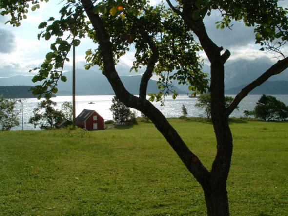 Klikk p� bildet for full st�rrelse