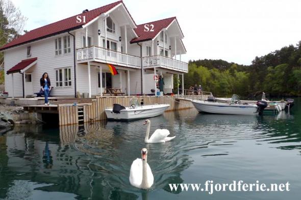 Click picture for full size