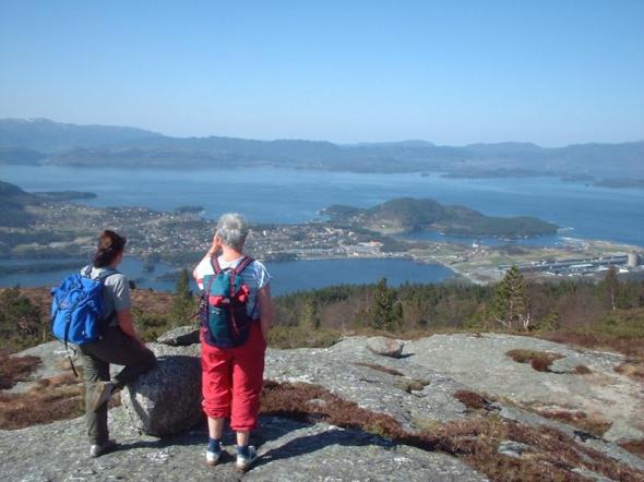 Click picture for full size