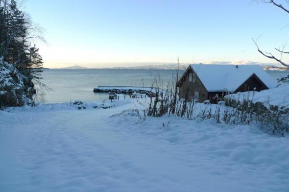 Klicken Sie auf das Bild f�r volle Gr��e