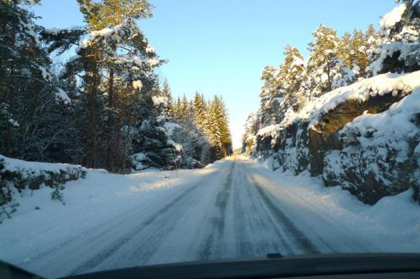 Klicken Sie auf das Bild f�r volle Gr��e