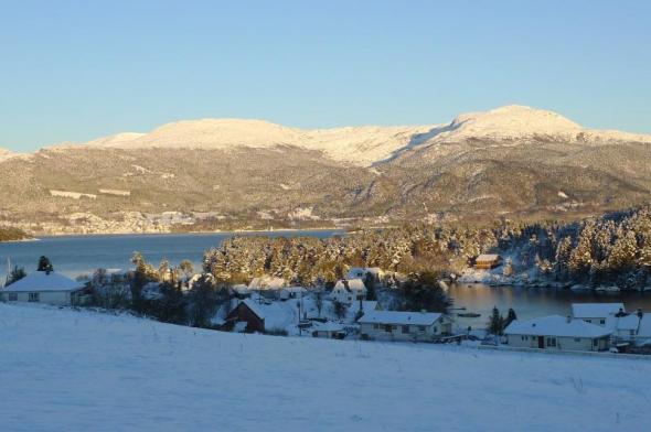 Klicken Sie auf das Bild f�r volle Gr��e