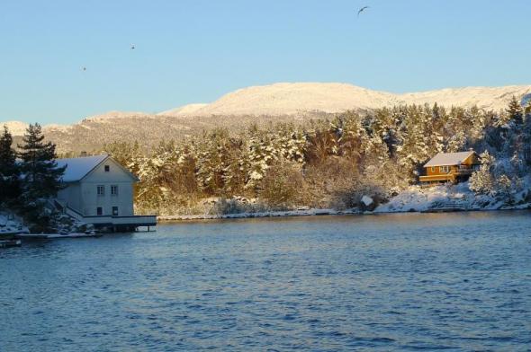 Klicken Sie auf das Bild f�r volle Gr��e