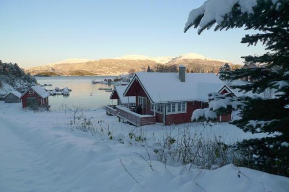 Klicken Sie auf das Bild f�r volle Gr��e