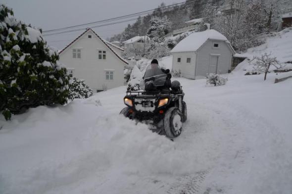 Klicken Sie auf das Bild f�r volle Gr��e