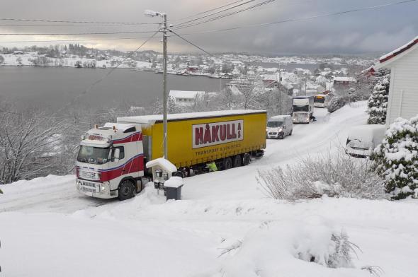 Klicken Sie auf das Bild f�r volle Gr��e