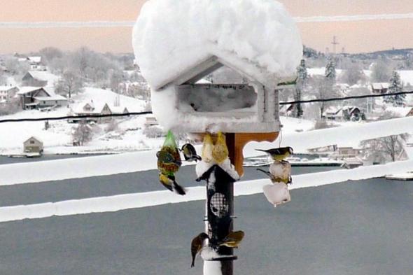 Klicken Sie auf das Bild f�r volle Gr��e