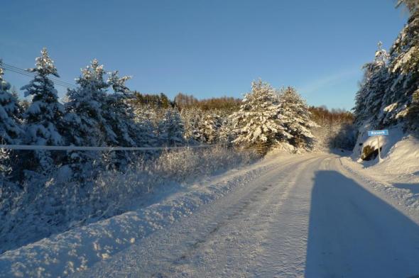 Klicken Sie auf das Bild f�r volle Gr��e