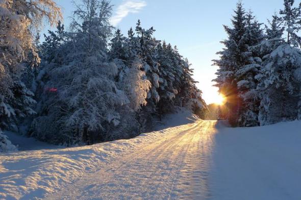 Klicken Sie auf das Bild f�r volle Gr��e